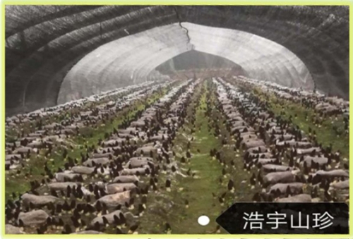&#19975;&#35937;&#22478;&#22312;&#32447;&#30331;&#24405;&#45;&#19975;&#35937;&#22478;&#65288;&#20013;&#22269;&#65289;