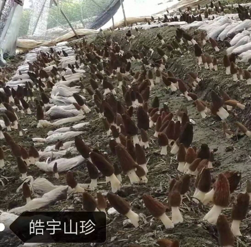 &#19975;&#35937;&#22478;&#22312;&#32447;&#30331;&#24405;&#45;&#19975;&#35937;&#22478;&#65288;&#20013;&#22269;&#65289;