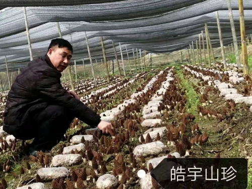 &#19975;&#35937;&#22478;&#22312;&#32447;&#30331;&#24405;&#45;&#19975;&#35937;&#22478;&#65288;&#20013;&#22269;&#65289;