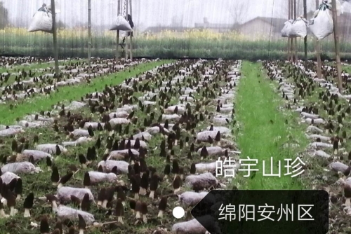 &#19975;&#35937;&#22478;&#22312;&#32447;&#30331;&#24405;&#45;&#19975;&#35937;&#22478;&#65288;&#20013;&#22269;&#65289;