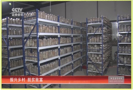 &#19975;&#35937;&#22478;&#22312;&#32447;&#30331;&#24405;&#45;&#19975;&#35937;&#22478;&#65288;&#20013;&#22269;&#65289;