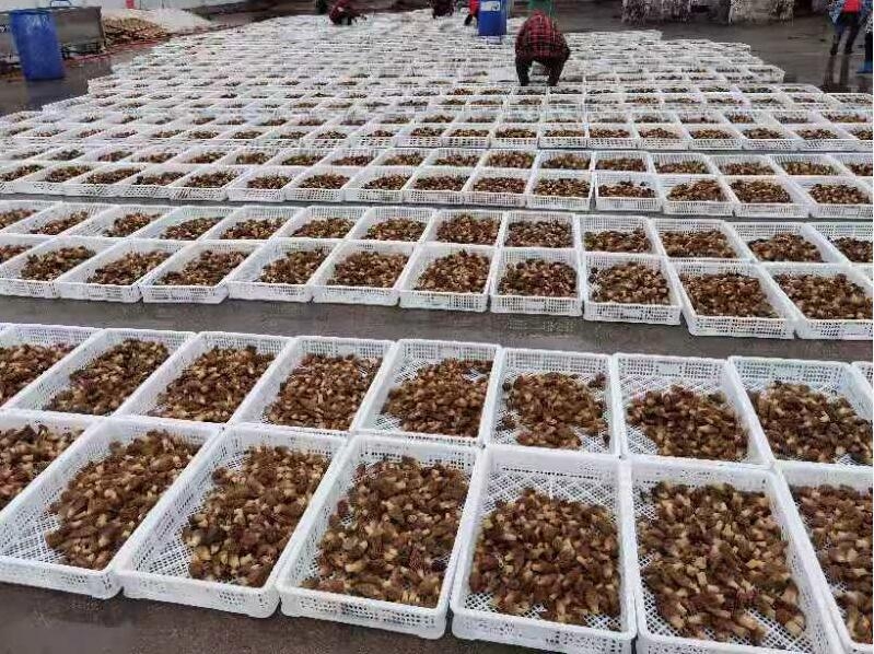 &#19975;&#35937;&#22478;&#22312;&#32447;&#30331;&#24405;&#45;&#19975;&#35937;&#22478;&#65288;&#20013;&#22269;&#65289;