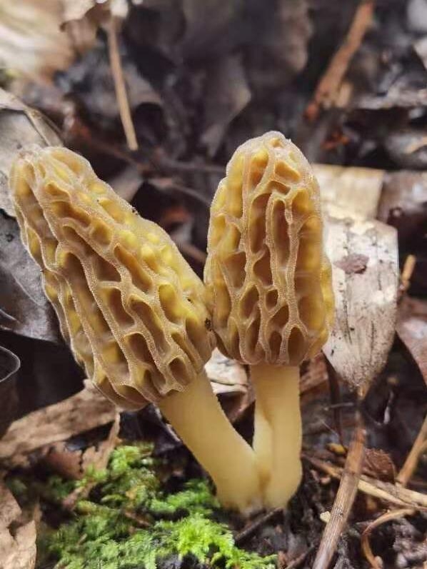 &#19975;&#35937;&#22478;&#22312;&#32447;&#30331;&#24405;&#45;&#19975;&#35937;&#22478;&#65288;&#20013;&#22269;&#65289;
