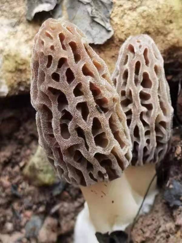 &#19975;&#35937;&#22478;&#22312;&#32447;&#30331;&#24405;&#45;&#19975;&#35937;&#22478;&#65288;&#20013;&#22269;&#65289;