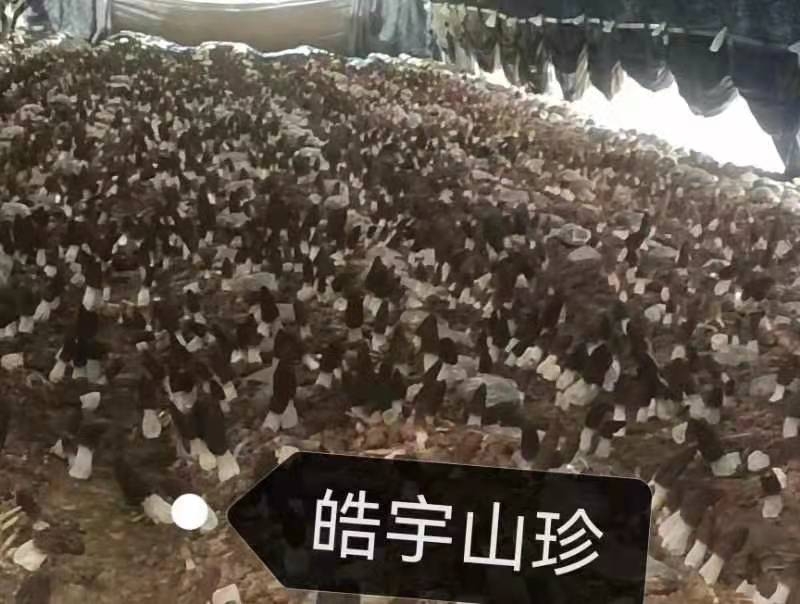 &#19975;&#35937;&#22478;&#22312;&#32447;&#30331;&#24405;&#45;&#19975;&#35937;&#22478;&#65288;&#20013;&#22269;&#65289;