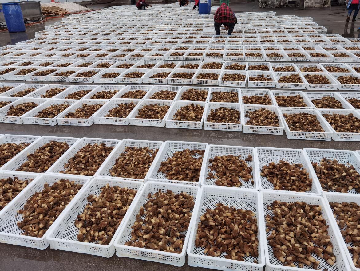 &#19975;&#35937;&#22478;&#22312;&#32447;&#30331;&#24405;&#45;&#19975;&#35937;&#22478;&#65288;&#20013;&#22269;&#65289;