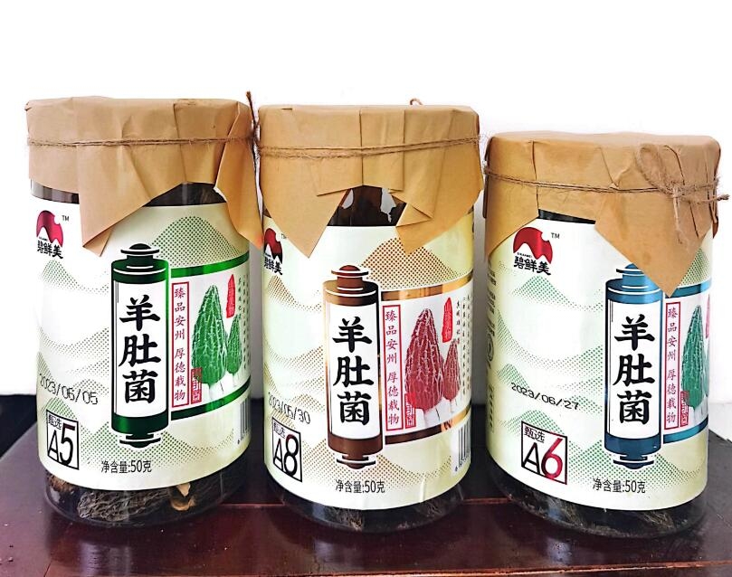 &#19975;&#35937;&#22478;&#22312;&#32447;&#30331;&#24405;&#45;&#19975;&#35937;&#22478;&#65288;&#20013;&#22269;&#65289;