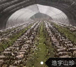 &#19975;&#35937;&#22478;&#22312;&#32447;&#30331;&#24405;&#45;&#19975;&#35937;&#22478;&#65288;&#20013;&#22269;&#65289;