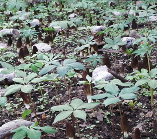 &#19975;&#35937;&#22478;&#22312;&#32447;&#30331;&#24405;&#45;&#19975;&#35937;&#22478;&#65288;&#20013;&#22269;&#65289;