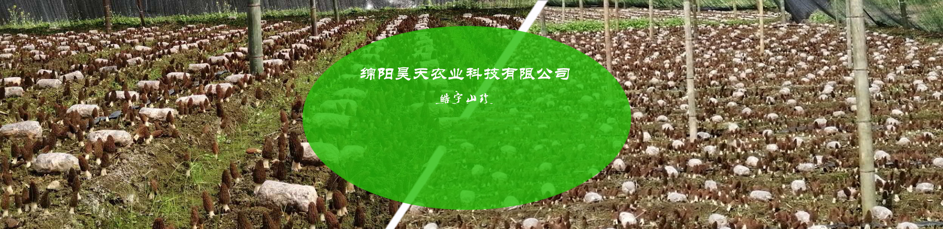 &#19975;&#35937;&#22478;&#22312;&#32447;&#30331;&#24405;&#45;&#19975;&#35937;&#22478;&#65288;&#20013;&#22269;&#65289;