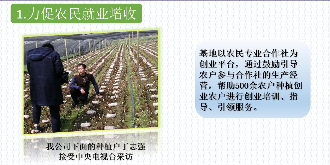 &#19975;&#35937;&#22478;&#22312;&#32447;&#30331;&#24405;&#45;&#19975;&#35937;&#22478;&#65288;&#20013;&#22269;&#65289;