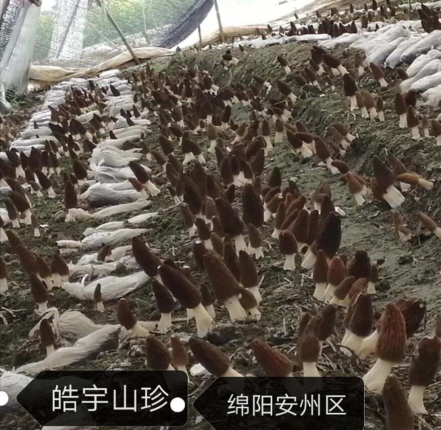 &#19975;&#35937;&#22478;&#22312;&#32447;&#30331;&#24405;&#45;&#19975;&#35937;&#22478;&#65288;&#20013;&#22269;&#65289;