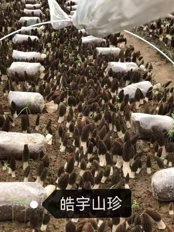 &#19975;&#35937;&#22478;&#22312;&#32447;&#30331;&#24405;&#45;&#19975;&#35937;&#22478;&#65288;&#20013;&#22269;&#65289;