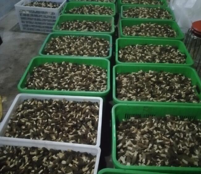&#19975;&#35937;&#22478;&#22312;&#32447;&#30331;&#24405;&#45;&#19975;&#35937;&#22478;&#65288;&#20013;&#22269;&#65289;