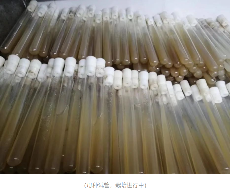 &#19975;&#35937;&#22478;&#22312;&#32447;&#30331;&#24405;&#45;&#19975;&#35937;&#22478;&#65288;&#20013;&#22269;&#65289;